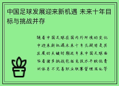 中国足球发展迎来新机遇 未来十年目标与挑战并存